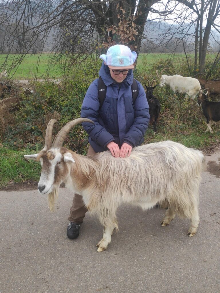 Eine Person trägt einen dicken blauen Mantel, eine braune Hose, einen Rucksack und eine bunte Mütze und steht auf einem geteerten Weg. Um die Person herum sind braune und weiße Ziegen mit langen Hörnern. Direkt vor der Person steht auch eine Ziege und wird von der Person massiert.